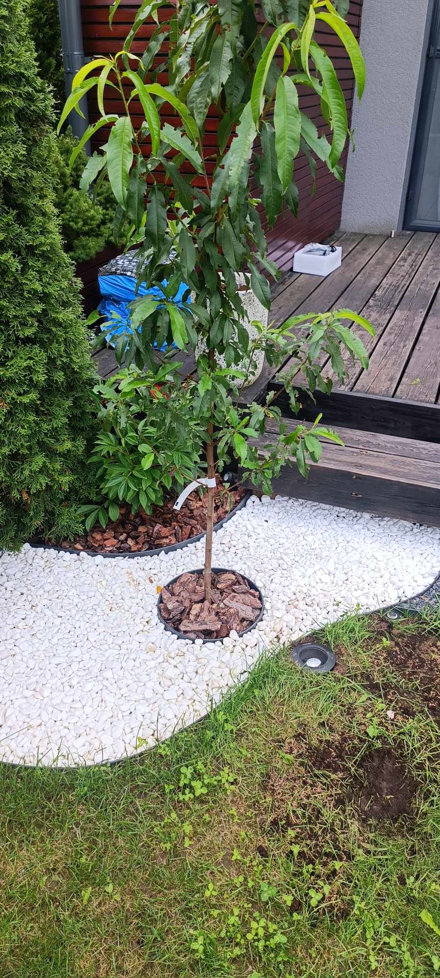 409307478_309624344745655_2951969769851601547_n-mxBZ9WnXKZiNZ6eL