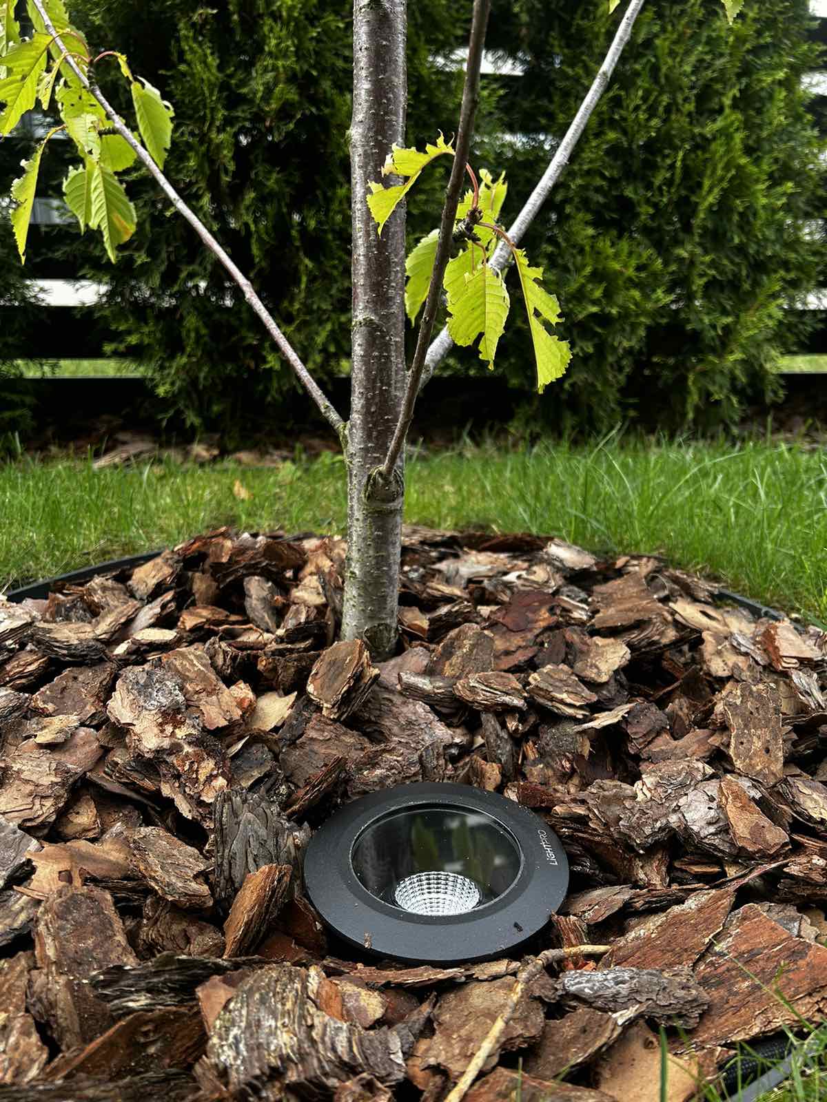 411045488_352420180763465_6032462295469595509_n-mePvarwDa6hGpWVr