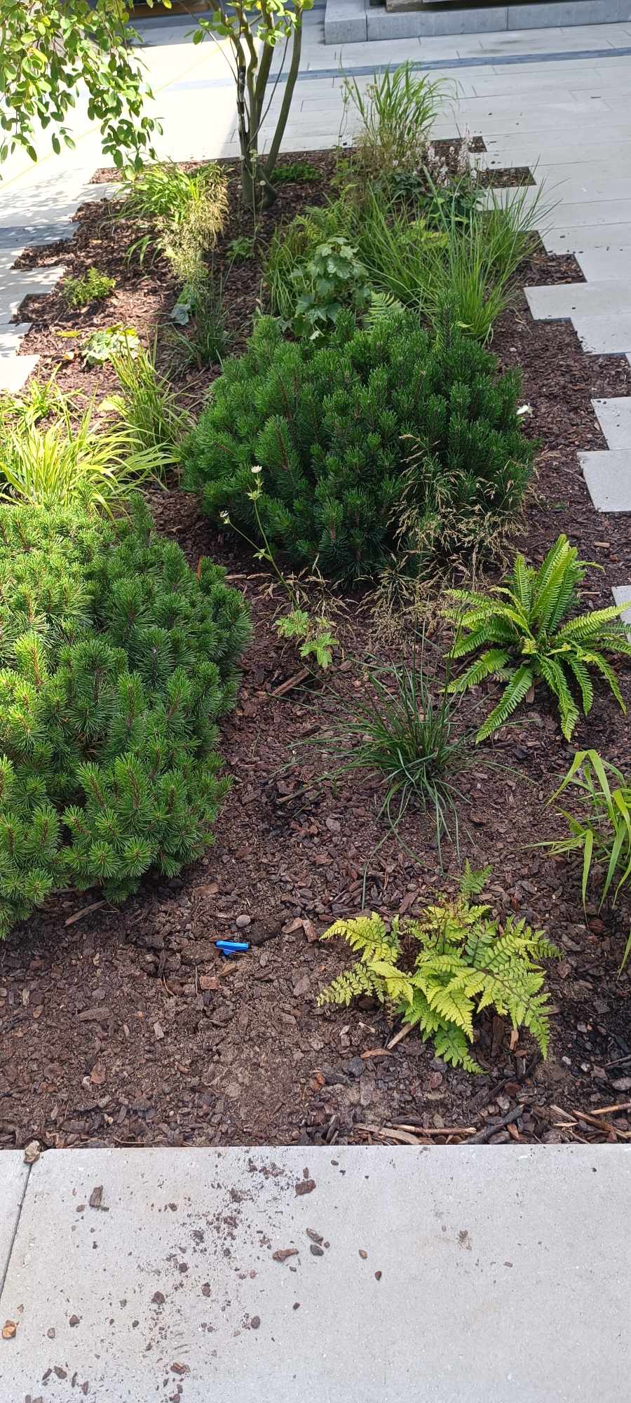 410173201_1625894324485759_1895887463115392710_n