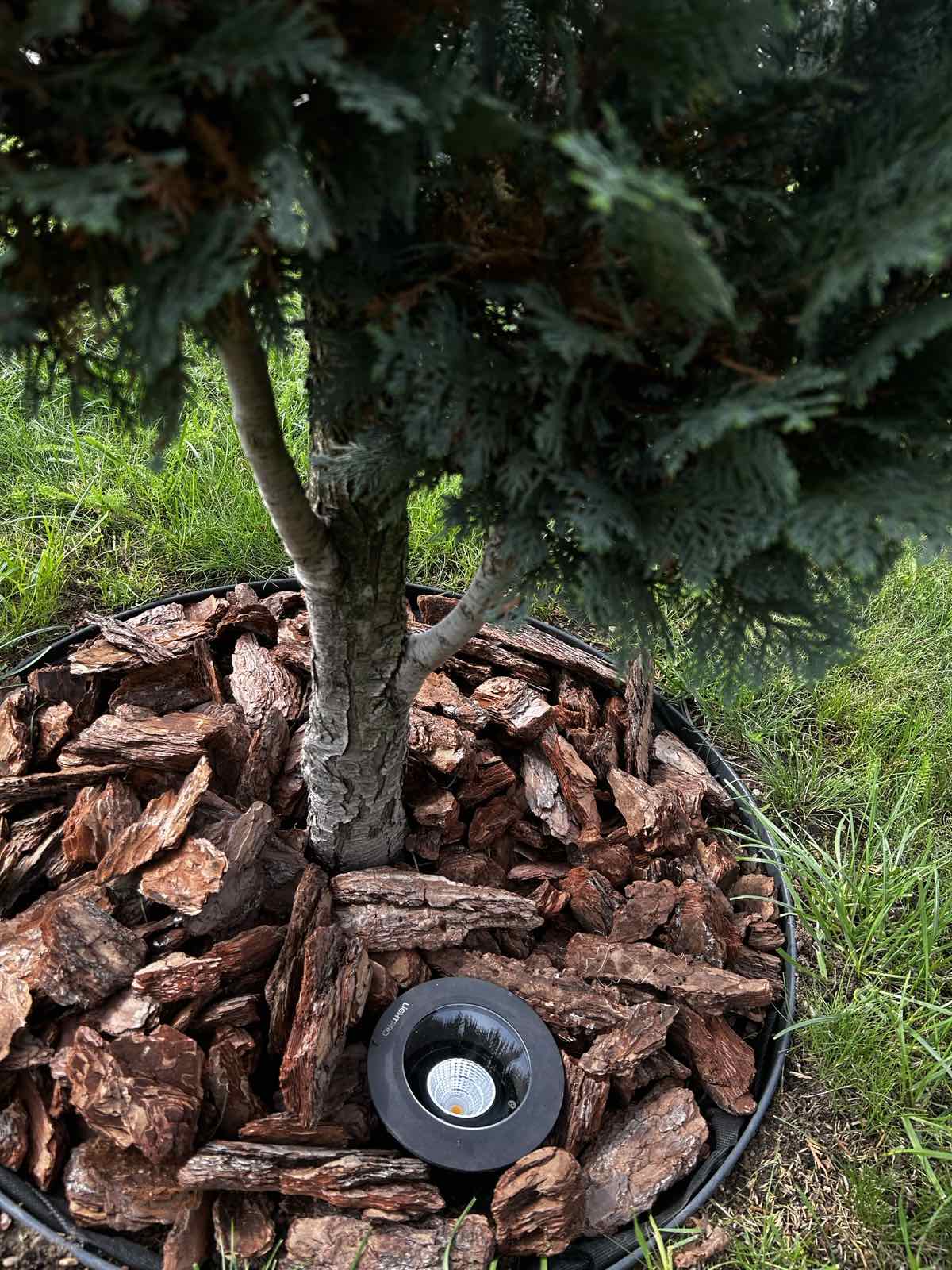 475858104_1312247203254226_4899706788270194762_n