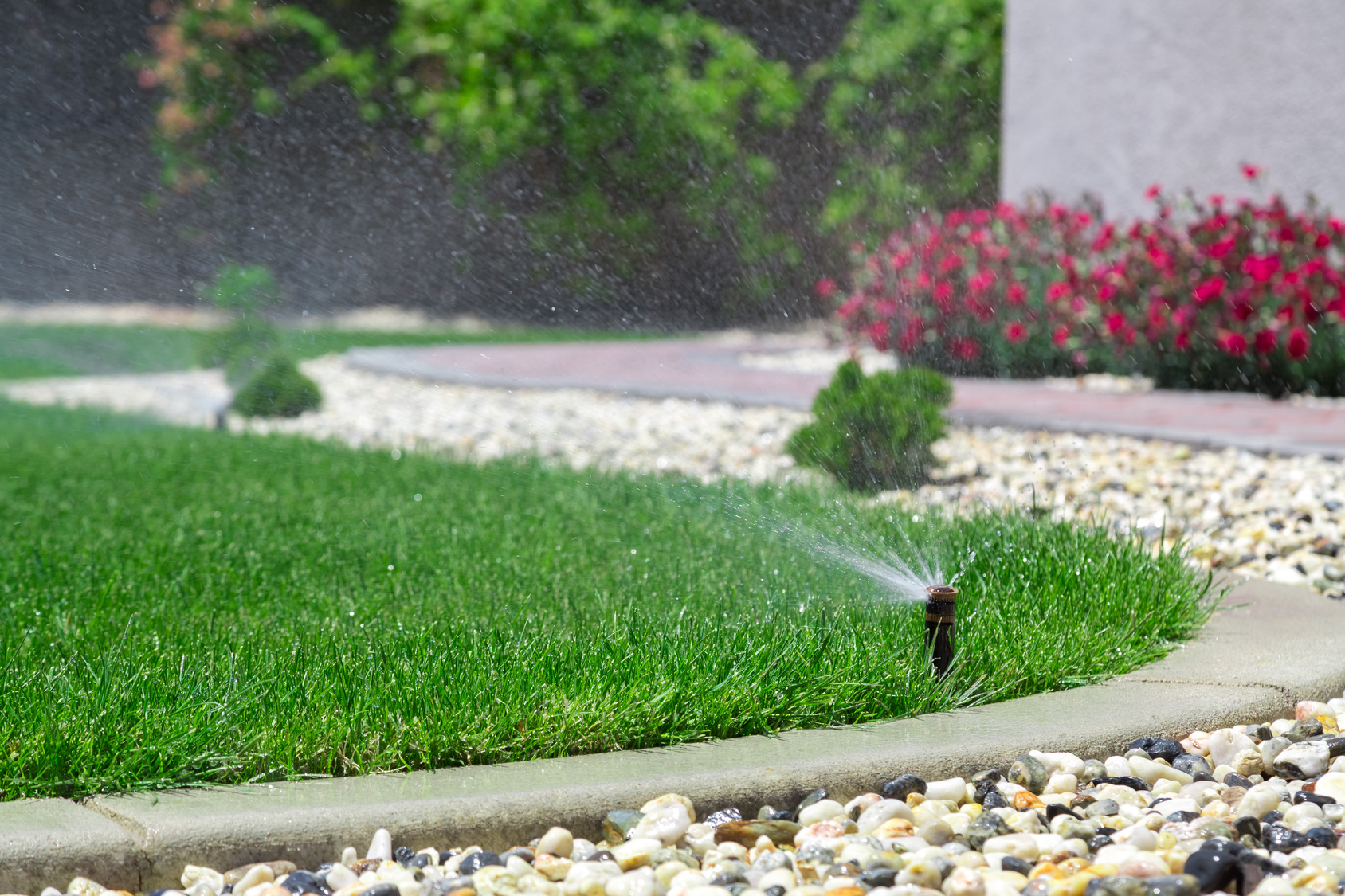 Watering-Trees-Plants-and-Shrubs-Lawn-Sprinkler-Design-Springfield-MO-4071336384